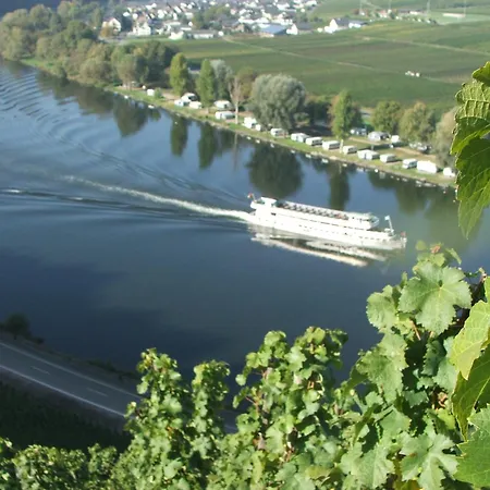Ferienweingut Haus Christa Briedern