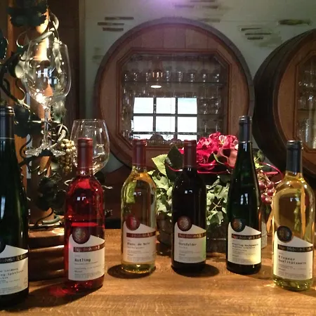 Ferienweingut Haus Christa Briedern